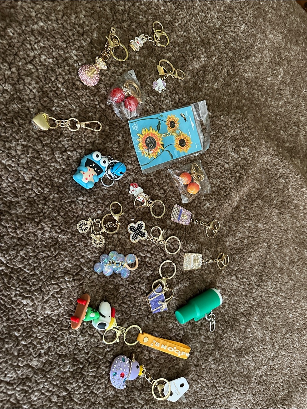 Assorted Cute Charm Keychain Lot with Colorful Charms 19 piece